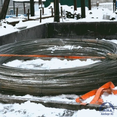Проволока овальная 0,22х0,3-1-55 ГОСТ 3875-83 купить в Брянске